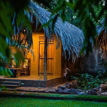 Private Organic House Panzió Udawalawe Kültér fotó
