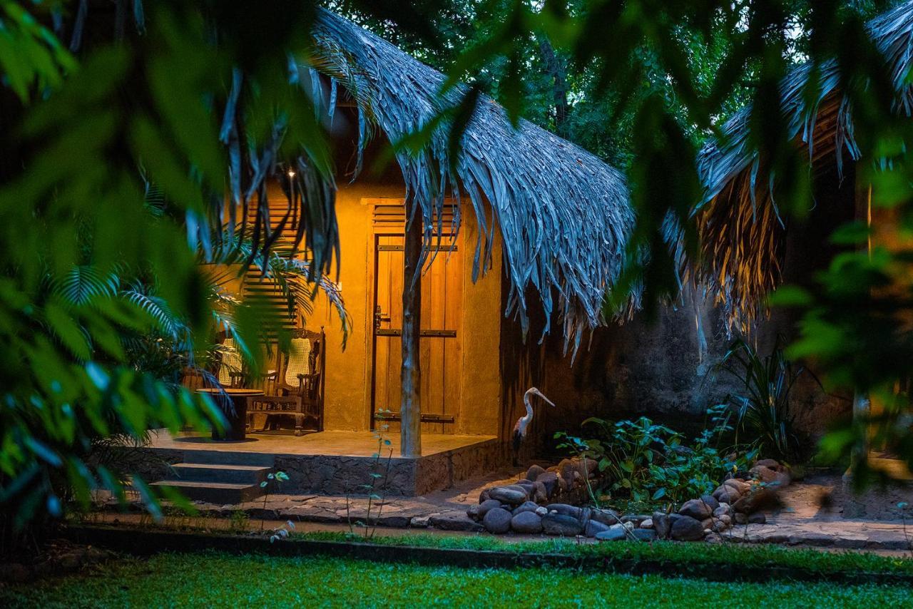 Private Organic House Panzió Udawalawe Kültér fotó