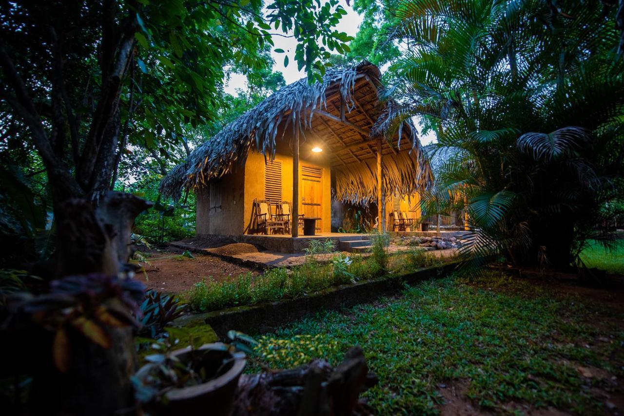Private Organic House Panzió Udawalawe Kültér fotó
