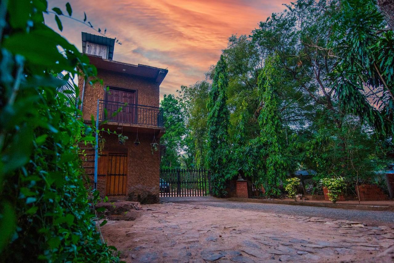 Private Organic House Panzió Udawalawe Kültér fotó